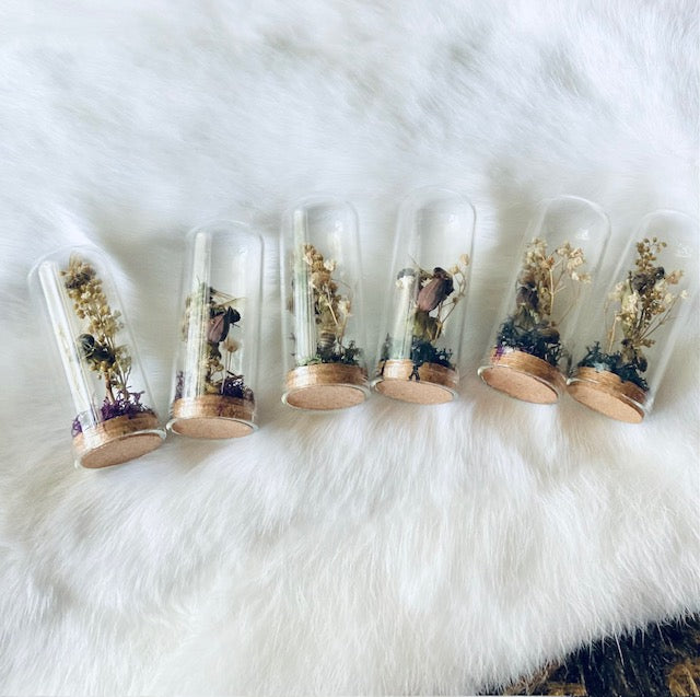 Real HoneyBees in Glass Cloche with Dried Flowers D293