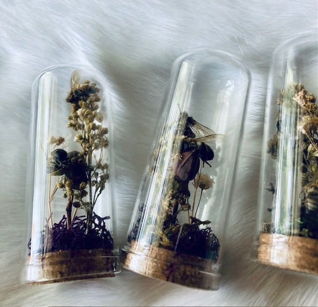 Real HoneyBees in Glass Cloche with Dried Flowers D293
