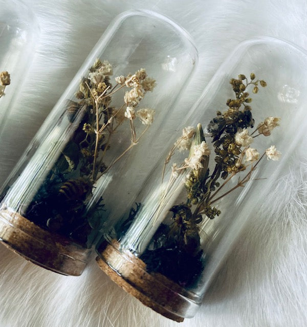 Real HoneyBees in Glass Cloche with Dried Flowers D293
