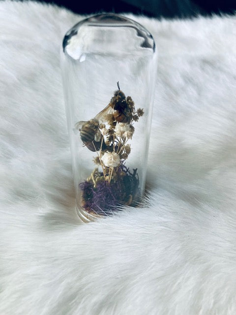 Real HoneyBees in Glass Cloche with Dried Flowers D293