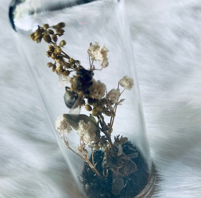 Real HoneyBees in Glass Cloche with Dried Flowers D293