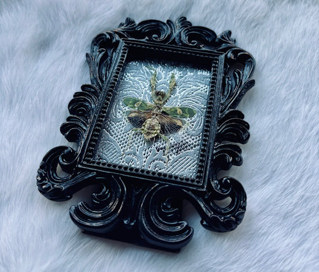 Flower Mantis Frame D463