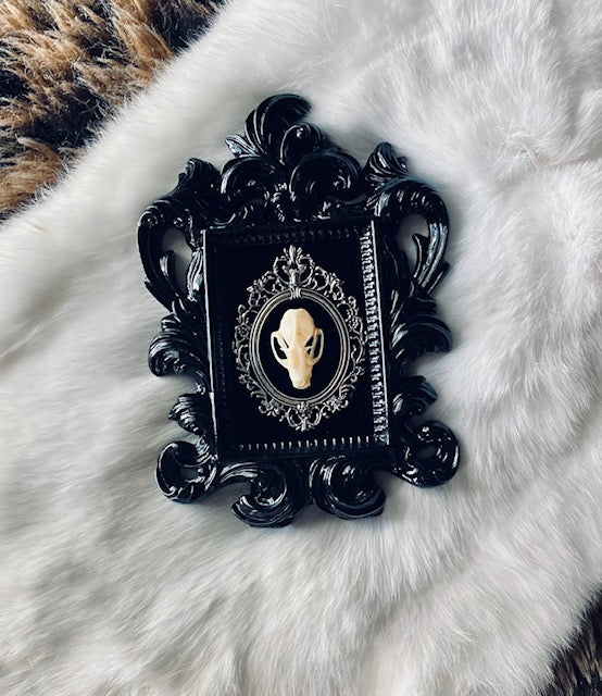 Real Bat Skull Mounted in Baroque Frame D207