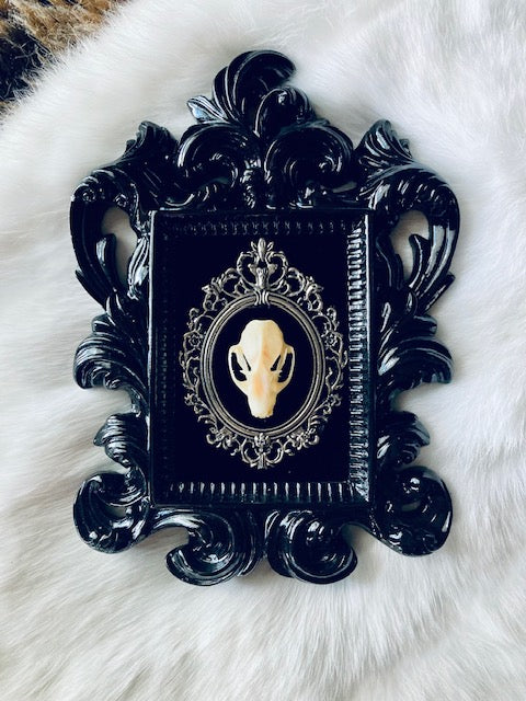 Real Bat Skull Mounted in Baroque Frame D207