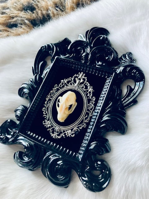 Real Bat Skull Mounted in Baroque Frame D207