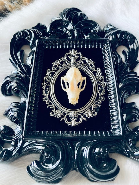 Real Bat Skull Mounted in Baroque Frame D207