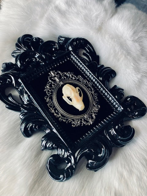 Real Bat Skull Mounted in Baroque Frame D207