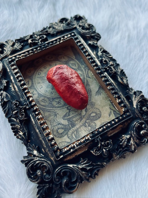 Mummified Bird Hearts in Frames D203