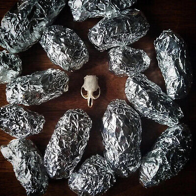 Owl Pellets C221