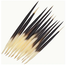 Porcupine Quills C211