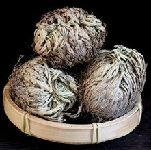 Rose of Jericho R218