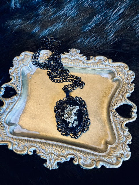 Real Poison Hemlock Flower Pendant N239