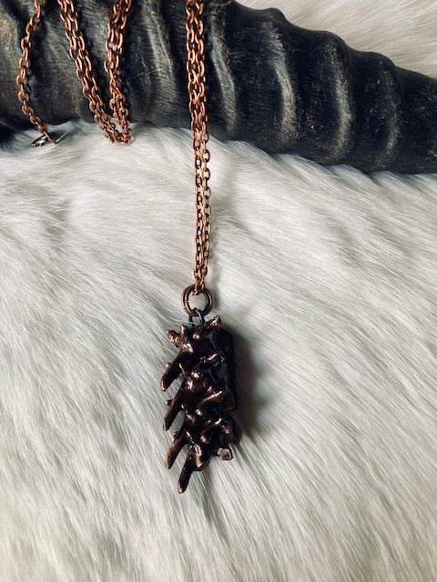 Copper Rattlesnake Spine N272