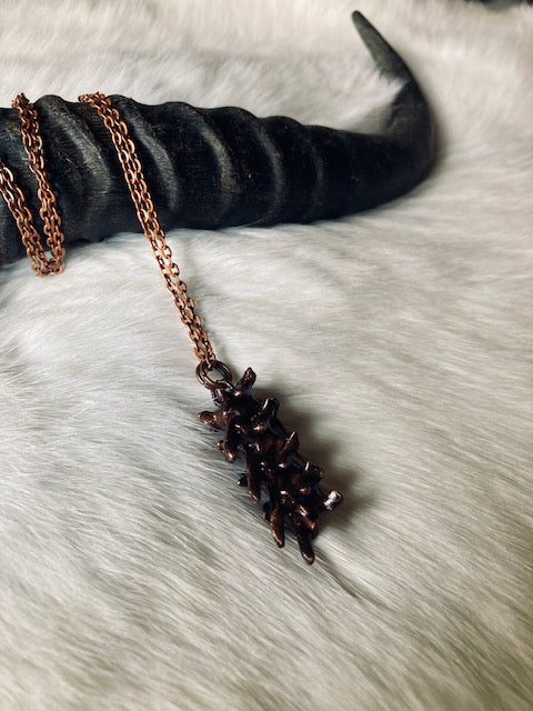 Copper Rattlesnake Spine N272