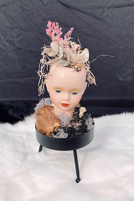 Victorian Doll Head Terrarium D284