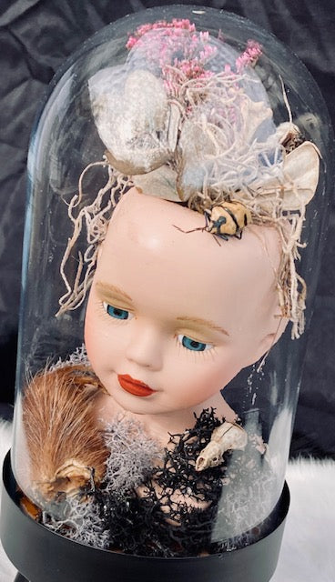 Victorian Doll Head Terrarium D284