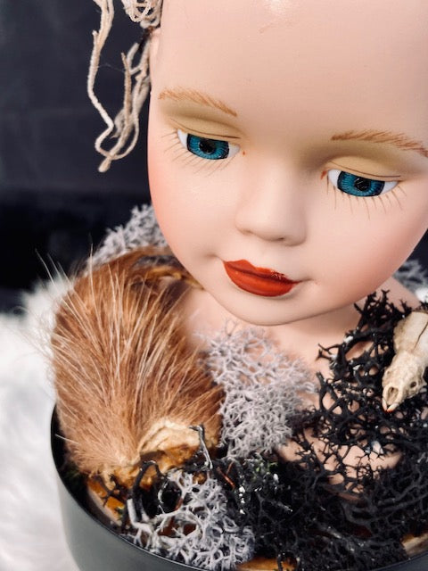 Victorian Doll Head Terrarium D284