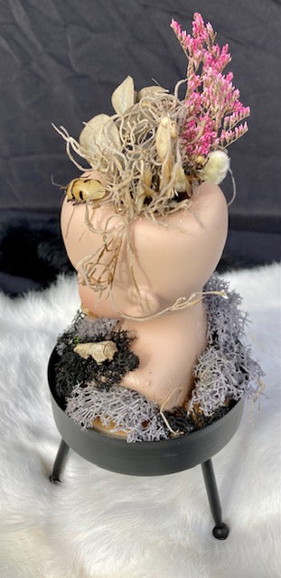 Victorian Doll Head Terrarium D284