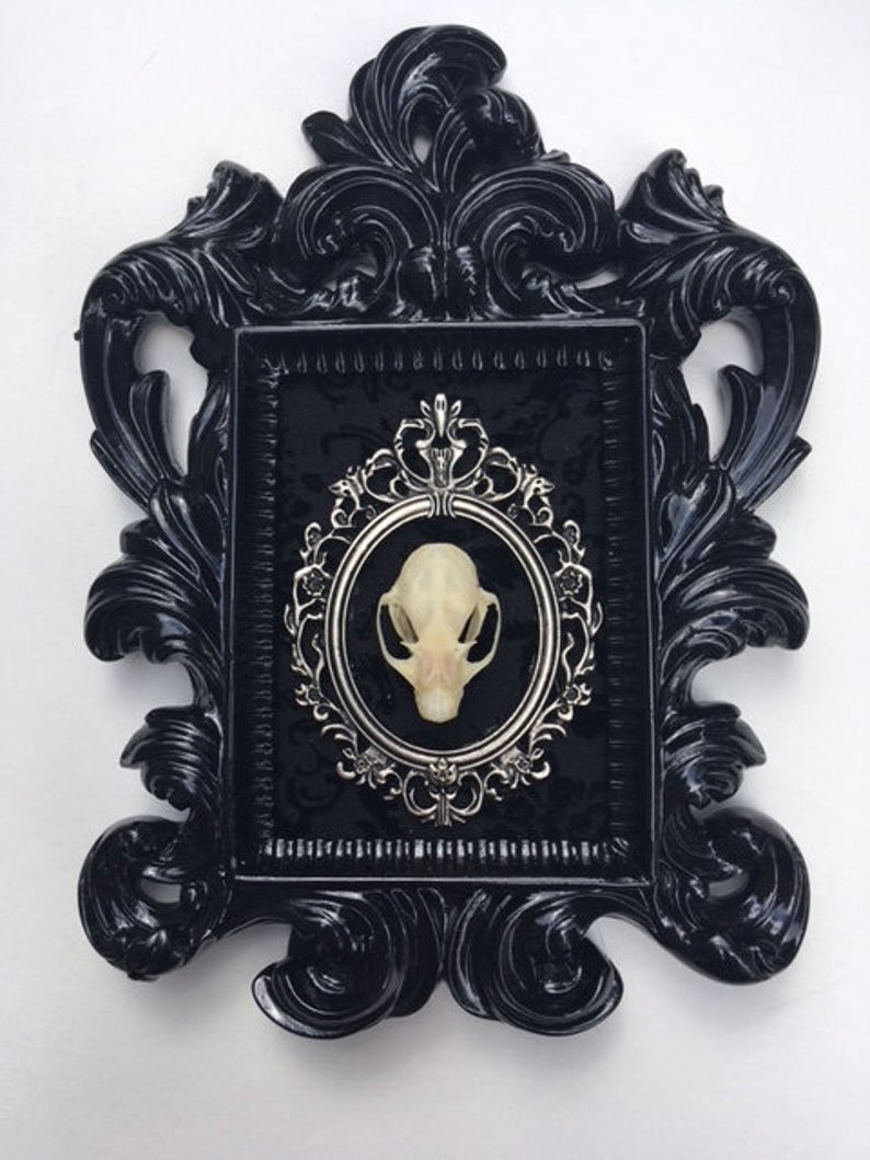 Real Bat Skull Mounted in Baroque Frame D207