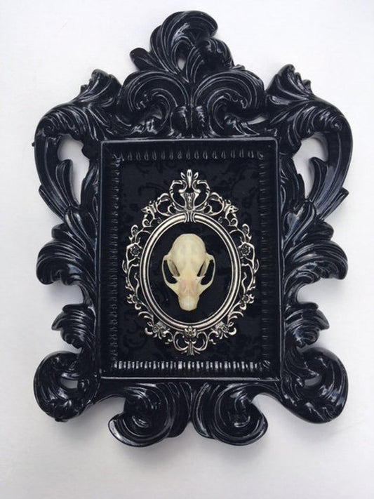 Real Bat Skull Mounted in Baroque Frame D207