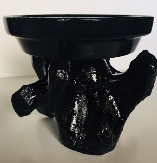 Real Cow Vertebrae Candle Holder D292