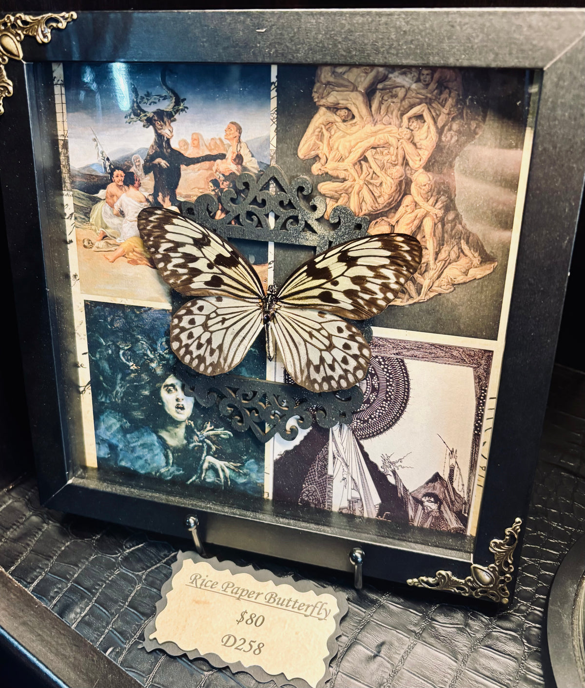 Rice Paper Butterfly Shadow Box D258 – Morbid Mementos Oddities and Occult