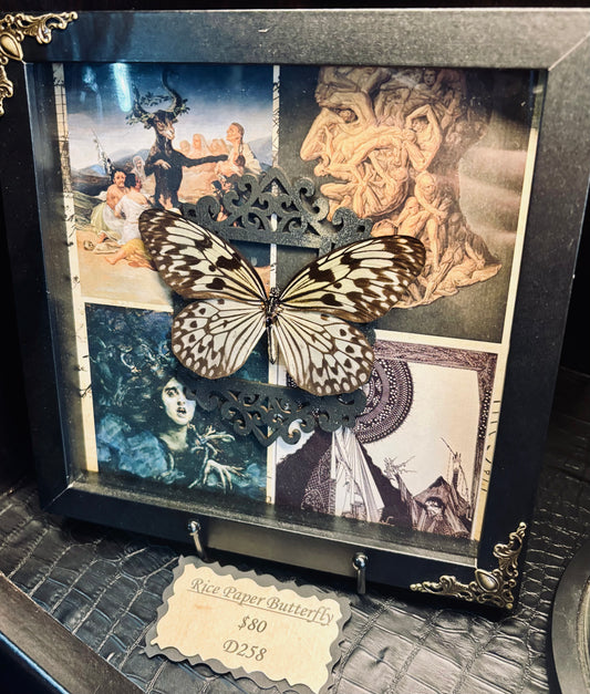 Rice Paper Butterfly Shadow Box D258