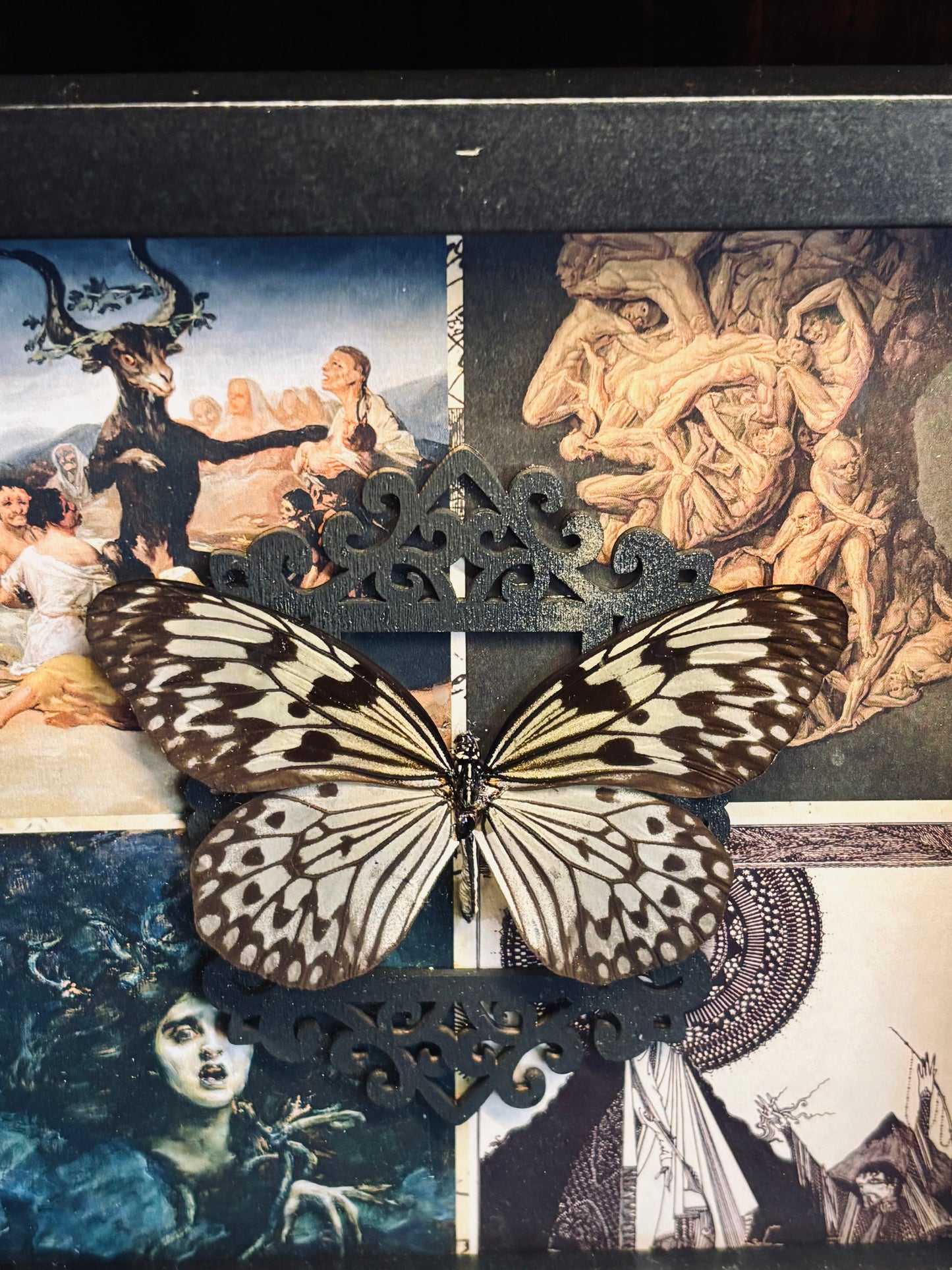 Rice Paper Butterfly Shadow Box D258