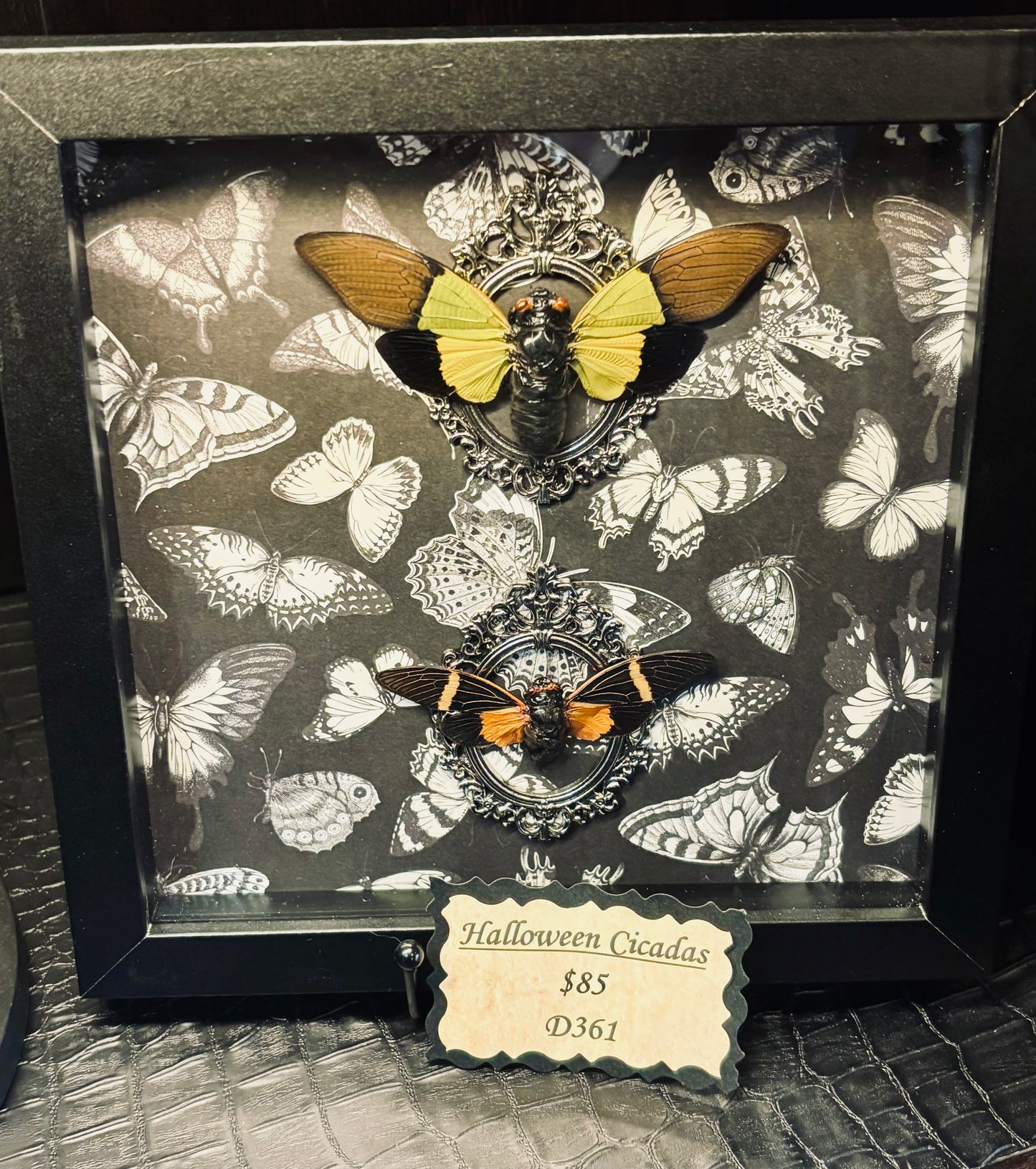 Halloween Cicadas Shadow Box D361
