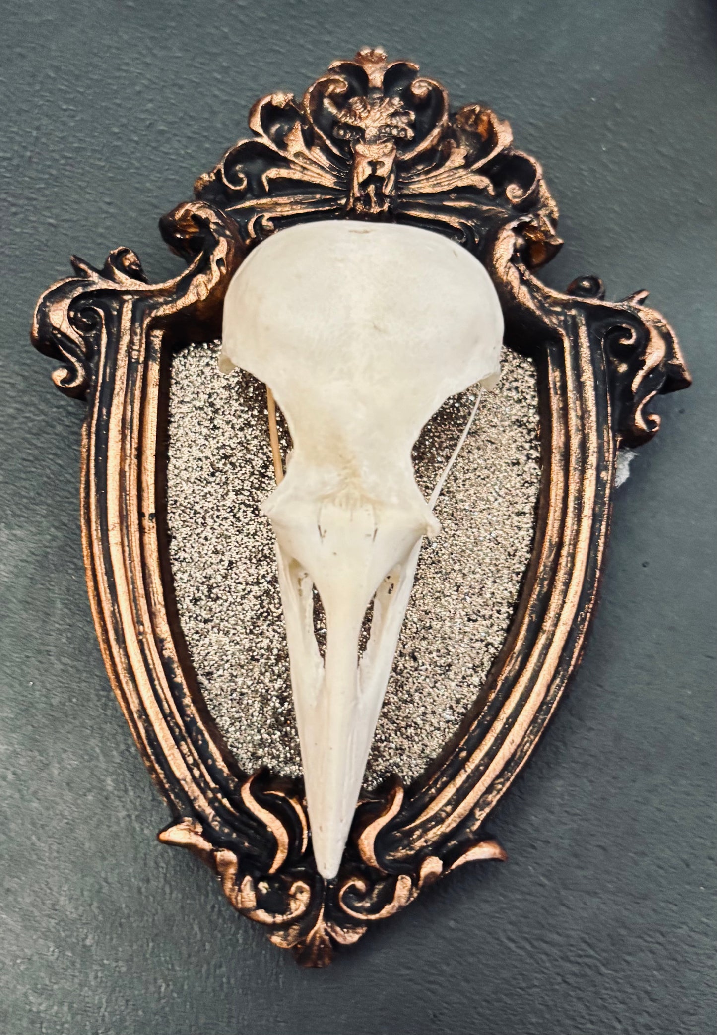 Carrion Crow Skulls Framed D377