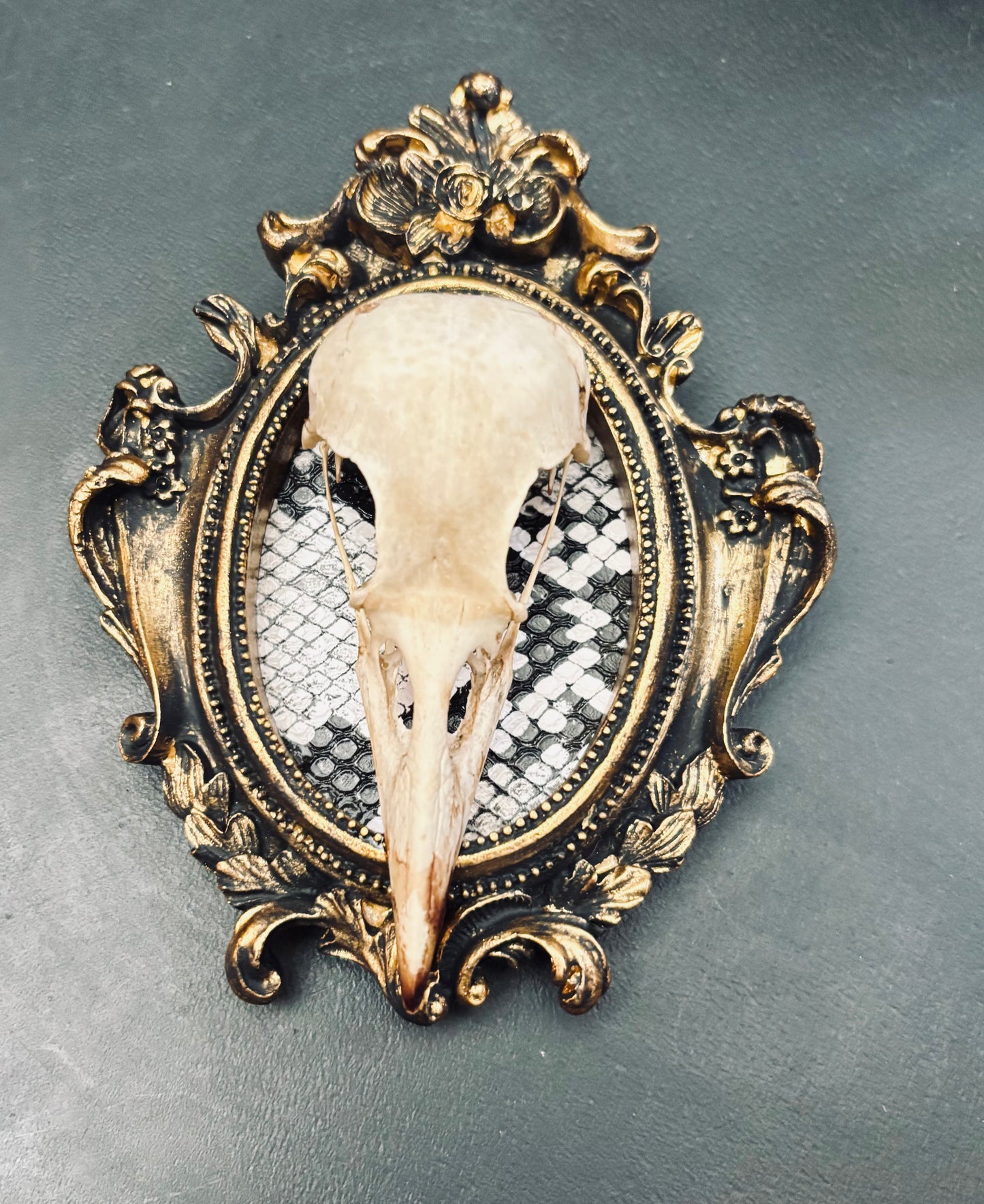 Carrion Crow Skulls Framed D377