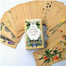 Tarot Cards R224