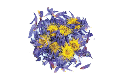 Organic Herbs by the Baggie H200