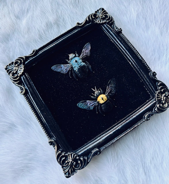 Blue and Yellow Carpenter Bees Framed D457