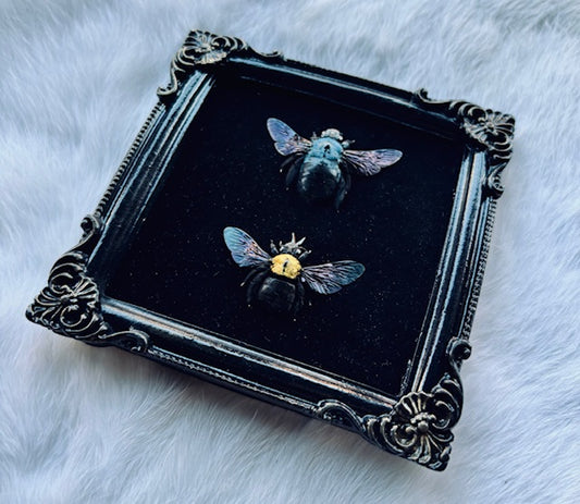 Blue and Yellow Carpenter Bees Framed D457