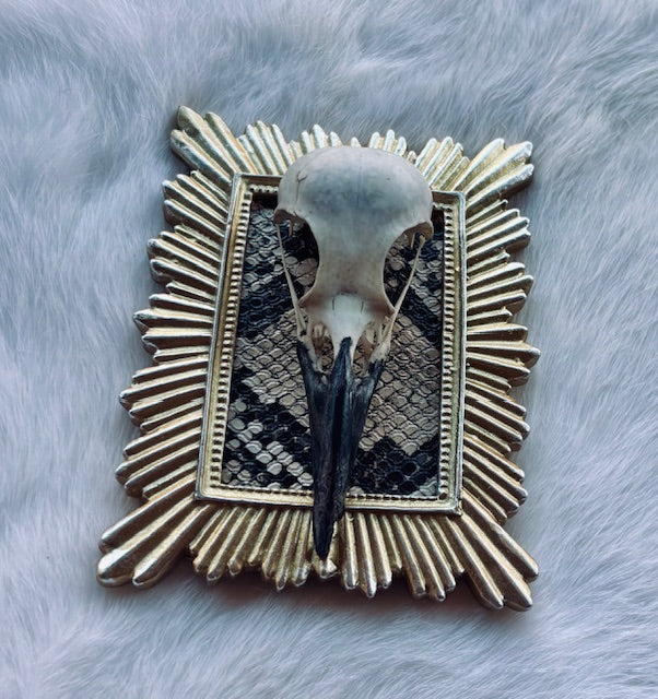 Carrion Crow Skulls Framed D377
