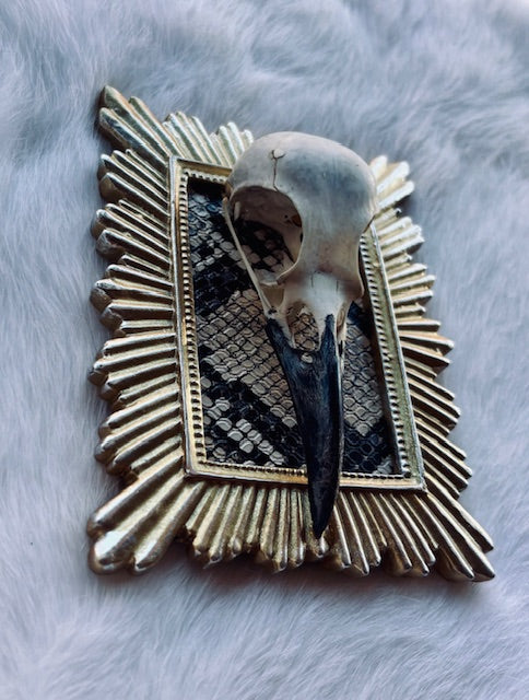 Carrion Crow Skulls Framed D377