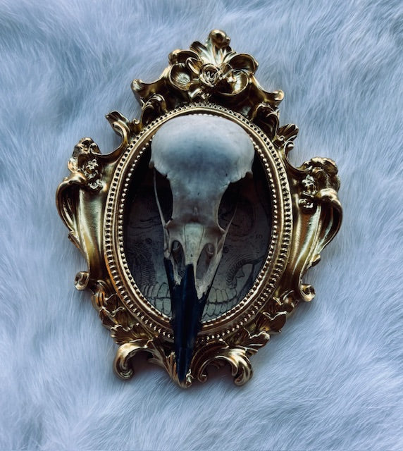 Carrion Crow Skulls Framed D377