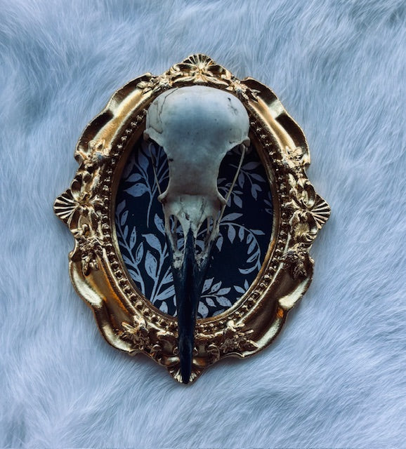 Carrion Crow Skulls Framed D377