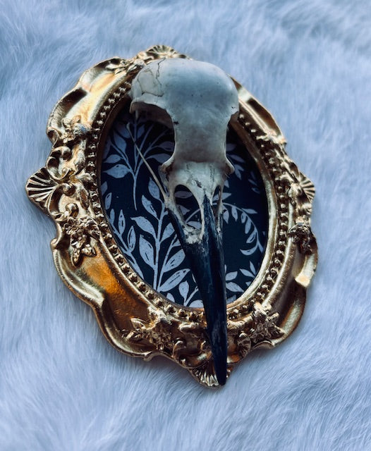Carrion Crow Skulls Framed D377