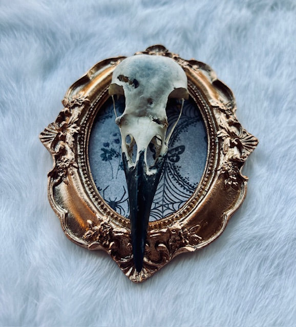 Carrion Crow Skulls Framed D377