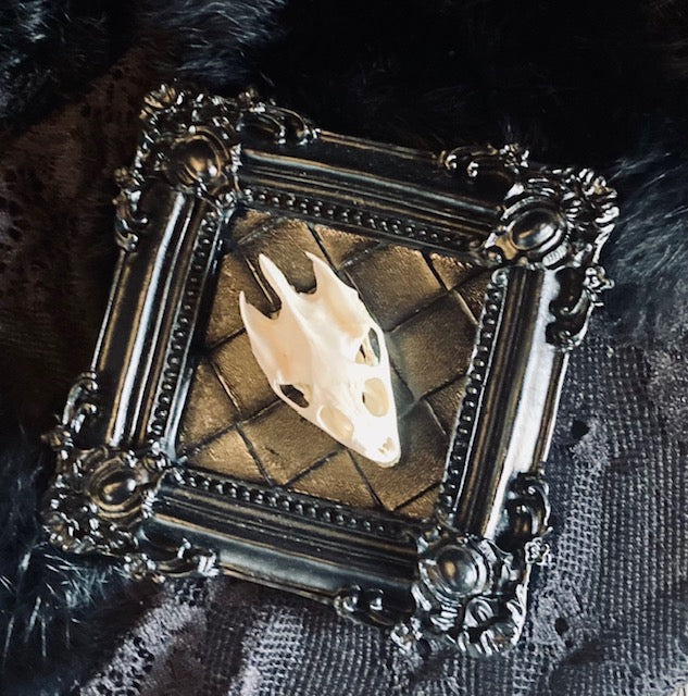 Turtle Skull Framed