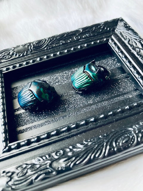 Two Metallic Dung Beetles