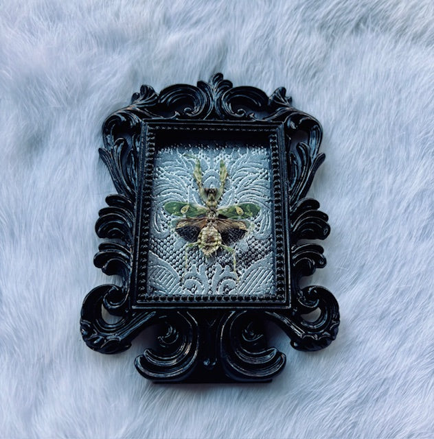 Flower Mantis Frame D463