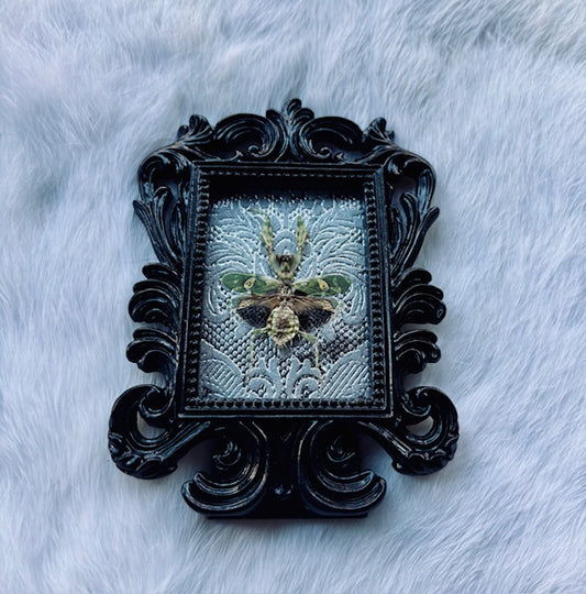 Flower Mantis Frame D463