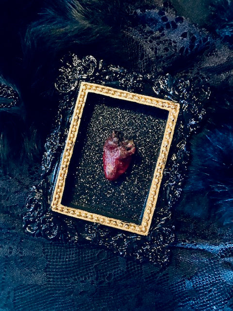 Real Mummified Bird Hearts in Ornate Frames