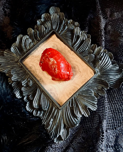 Real Mummified Bird Hearts in Ornate Frames