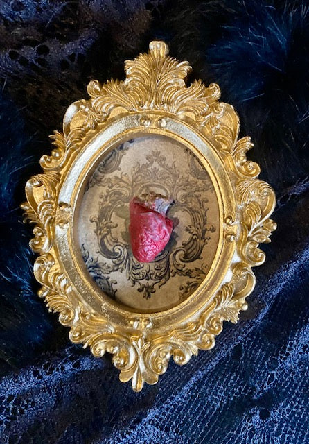 Real Mummified Bird Hearts in Ornate Frames