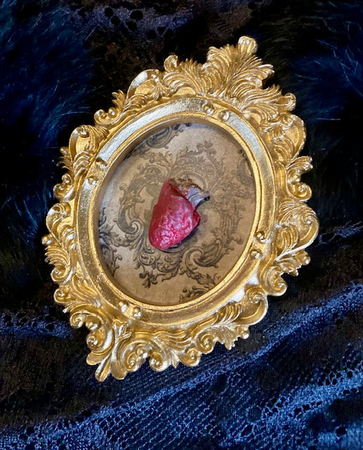 Real Mummified Bird Hearts in Ornate Frames