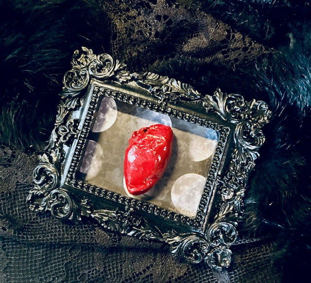 Real Mummified Bird Hearts in Ornate Frames